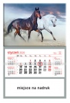 Kalendarz jednodzielny 2021 Konie