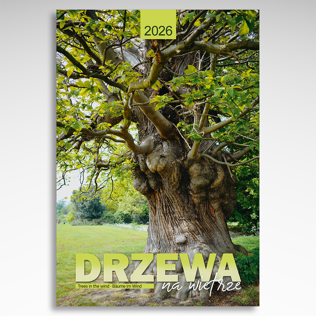 Kalendarz wieloplanszowy Drzewa na Wietrze (20szt.) - 3 Kalendarz wieloplanszowy Drzewa na Wietrze