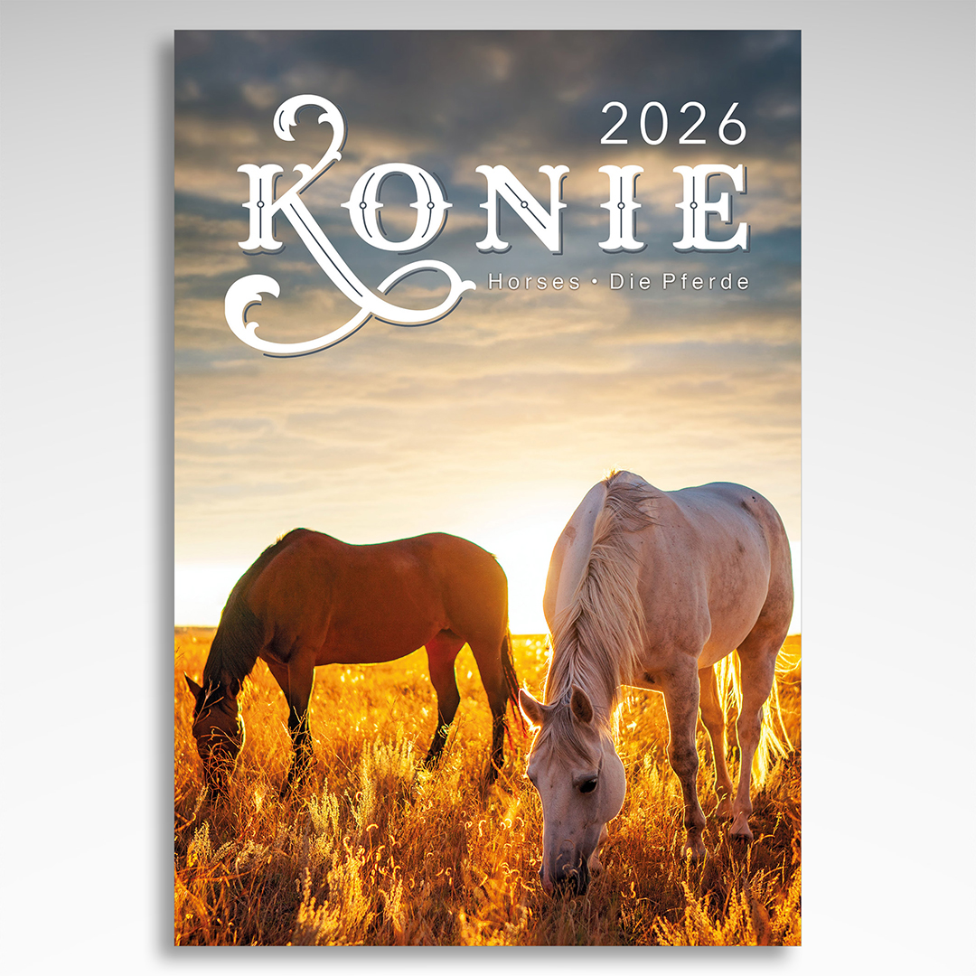 Kalendarz wieloplanszowy Konie (20szt.) - 3 Kalendarz wieloplanszowy Konie