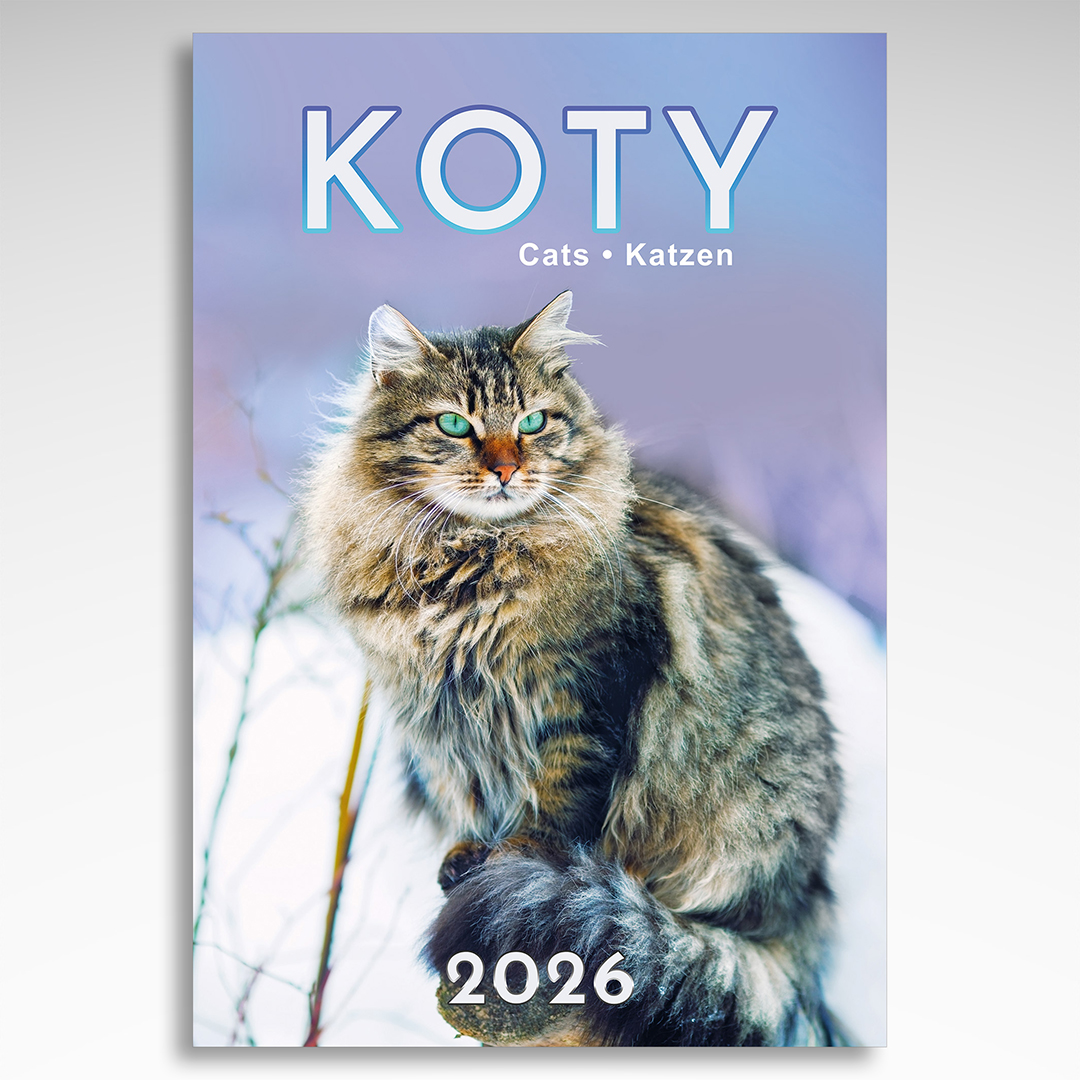 Kalendarz wieloplanszowy Koty (20szt.) - 3 Kalendarz wieloplanszowy Koty