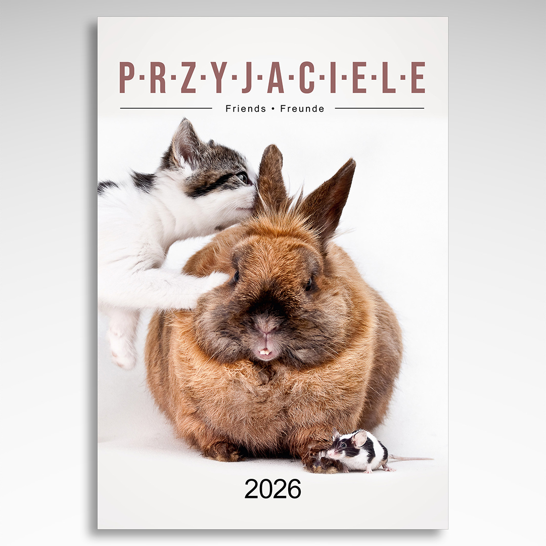 Kalendarz wieloplanszowy Przyjaciele (20szt.) - 3 Kalendarz wieloplanszowy Przyjaciele