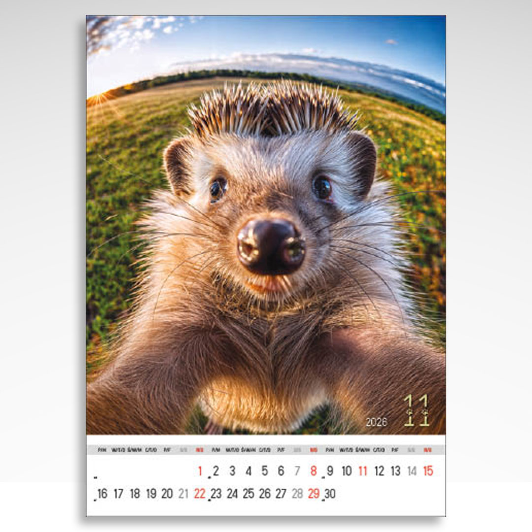Kalendarz wieloplanszowy Selfie (20szt.) - 5 Kalendarz wieloplanszowy Selfie (20szt.) - obrazek 3