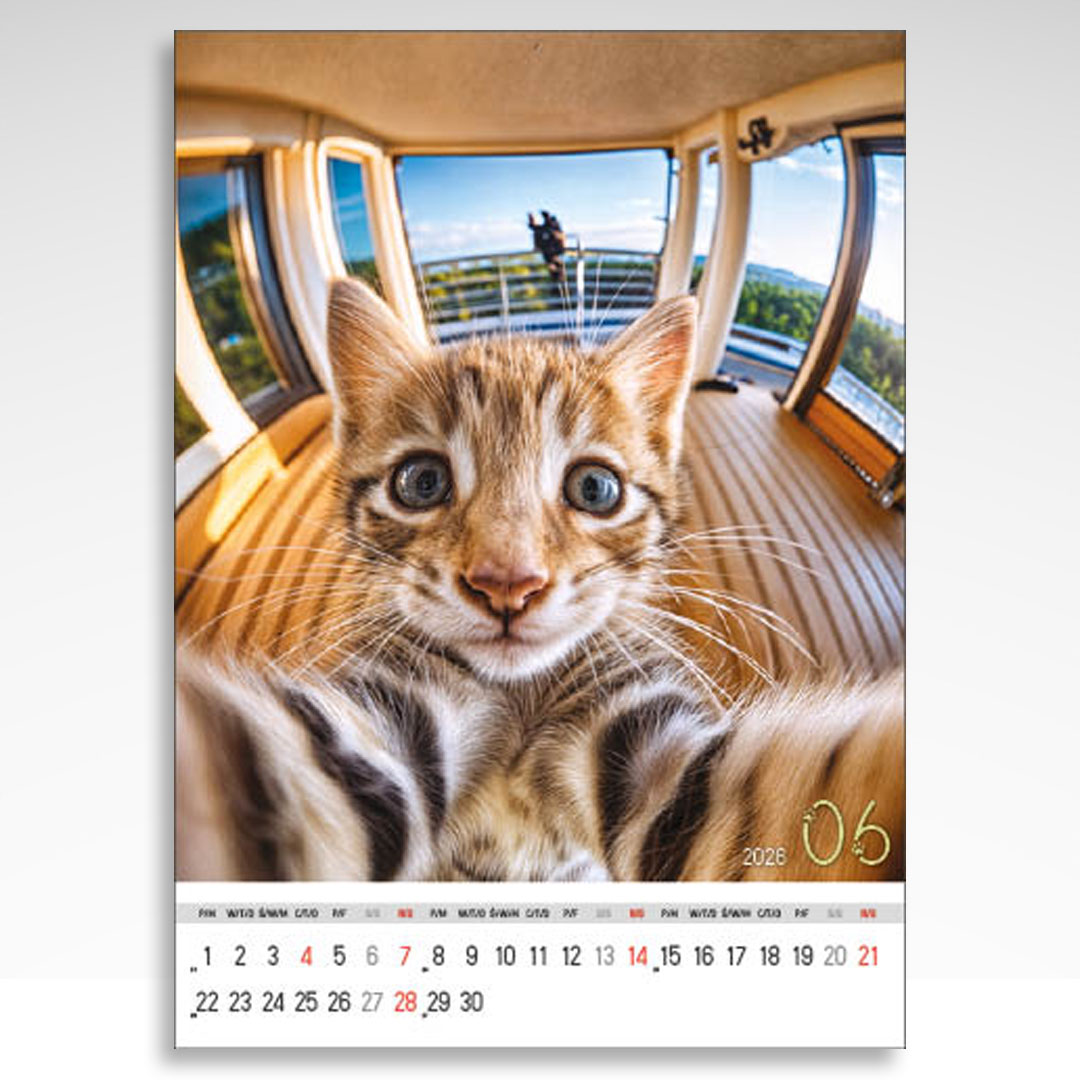 Kalendarz wieloplanszowy Selfie (20szt.) - 10 Kalendarz wieloplanszowy Selfie (20szt.) - obrazek 8