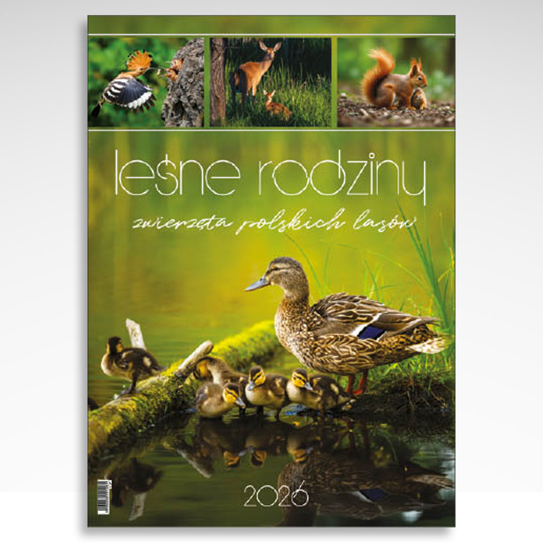 Kalendarz wieloplanszowy Leśne Rodziny (20szt.) - 3 Kalendarz wieloplanszowy Leśne Rodziny