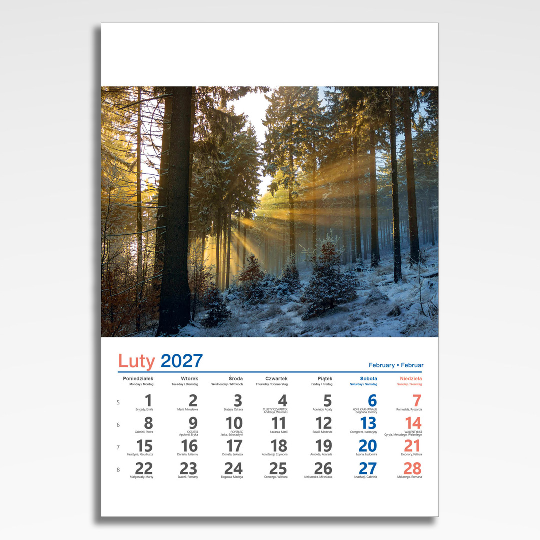 Kalendarz wieloplanszowy Sudety (20szt.) - 5 kalendarz wieloplanszowy sudety, plansza luty z grafiką tematyczną