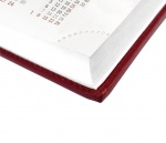 Kalendarz książkowy 2022 Kalendarze książkowe A6-16 (zdjęcie 1)