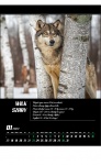 Kalendarz wieloplanszowy 2023 Zwierzęta naszych lasów (zdjęcie 11)