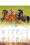 Kalendarz planszowy 2025 Konie