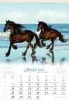Kalendarz wieloplanszowy 2019 Konie w obiektywie (zdjęcie 4)