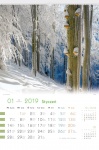 Kalendarz wieloplanszowy 2019 Lasy Polskie (zdjęcie 4)