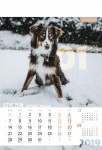 Kalendarz wieloplanszowy 2019 Psy (zdjęcie 9)
