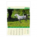 Kalendarze wieloplanszowe na rok 2024 Konie (zdjęcie 1)
