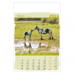 Kalendarze wieloplanszowe na rok 2024 Konie (zdjęcie 6)