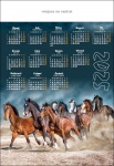 Kalendarz planszowy B1 2025 Konie