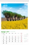 kalendarz wieloplanszowy 2017 Drzewa Świata